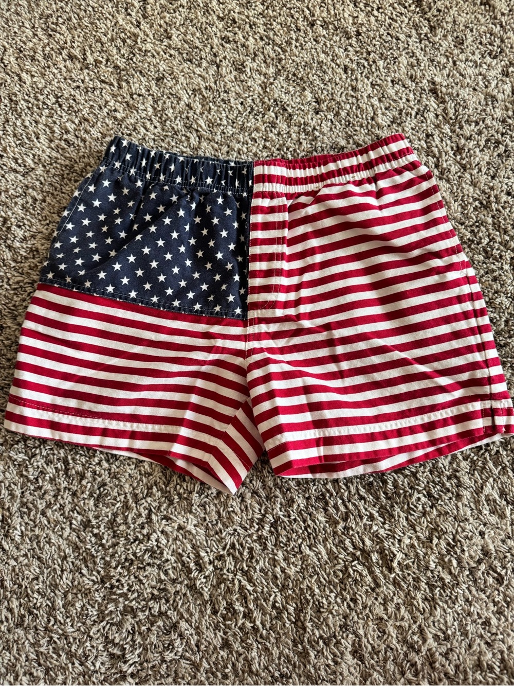 chubbies Red White and Blue American Flag Swim Trunks